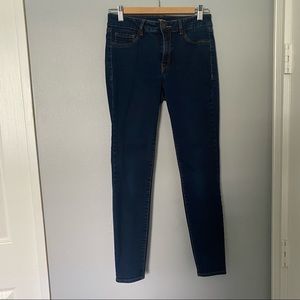 Refuge Dark Skinny Jeans